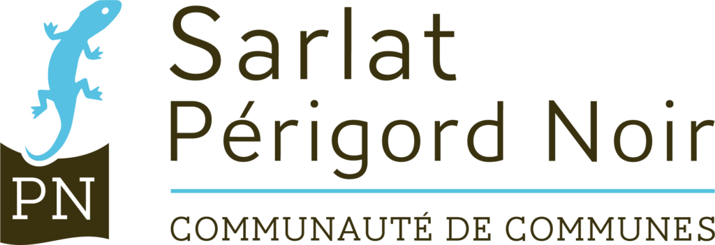 Logo 1 Comcom Marron Bleu